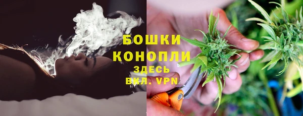 ПСИЛОЦИБИНОВЫЕ ГРИБЫ Баксан