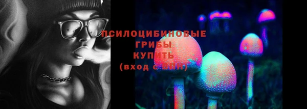 амф Балахна