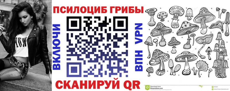 наркошоп  Калининец  Псилоцибиновые грибы Psilocybine cubensis 